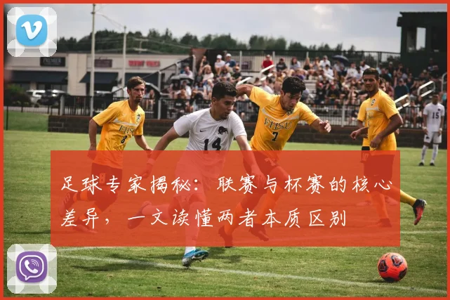 足球专家揭秘：联赛与杯赛的核心差异，一文读懂两者本质区别